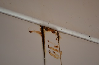 Outboard Tank Rib Leak